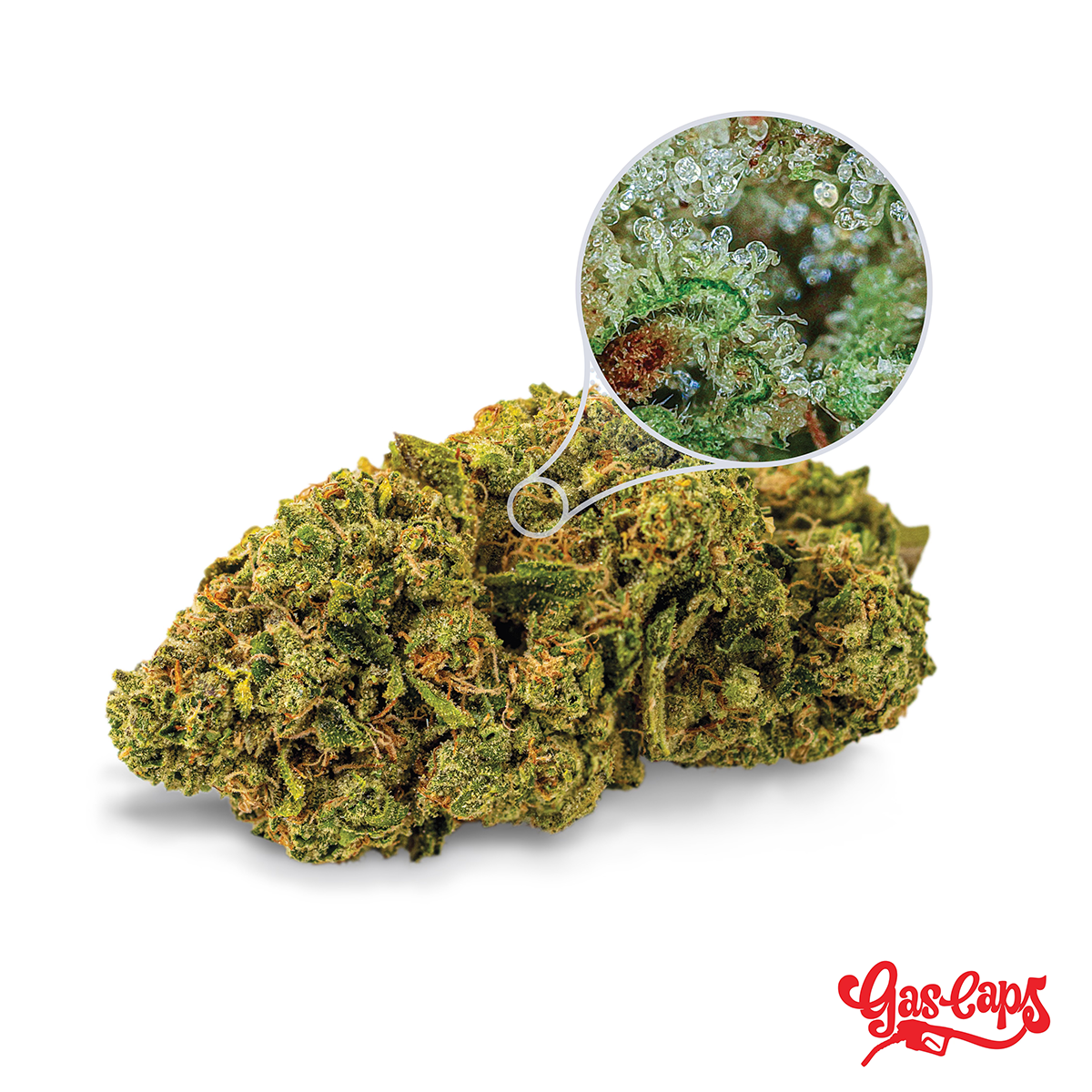 http://gascaps.com/wp-content/uploads/2021/09/gascaps_nug.png